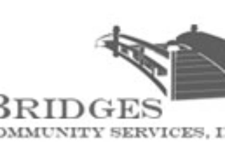 logo_left_bridges.jpg