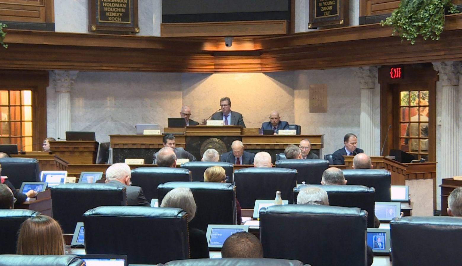 The Senate committee passed the amendment 11-2 on Tuesday. (Lauren Chapman/IPB News)