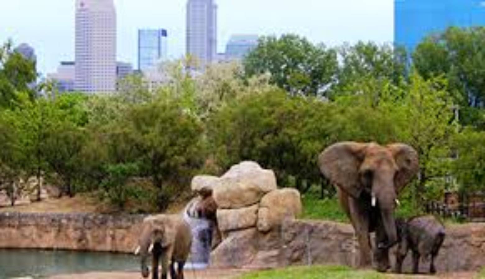 The Indianapolis Zoo Named one of the Nation’s Best Indiana Public Radio