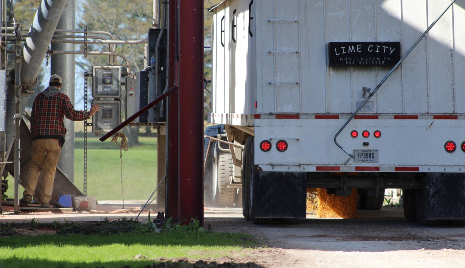 A Mann family farmer dumps freshly harvested corn kernels from a hopper truck into underground conveyor belts that feed storage bins at White Oak Farms in Cloverdale. (Annie Ropeik/IPB News)