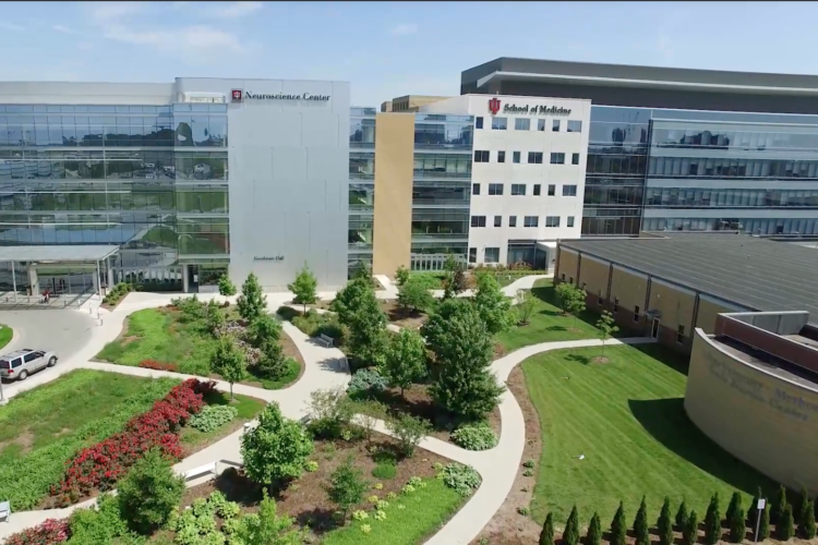 Indiana University School of Medicine Neurology Center. (Indiana University School of Medicine/Youtube)