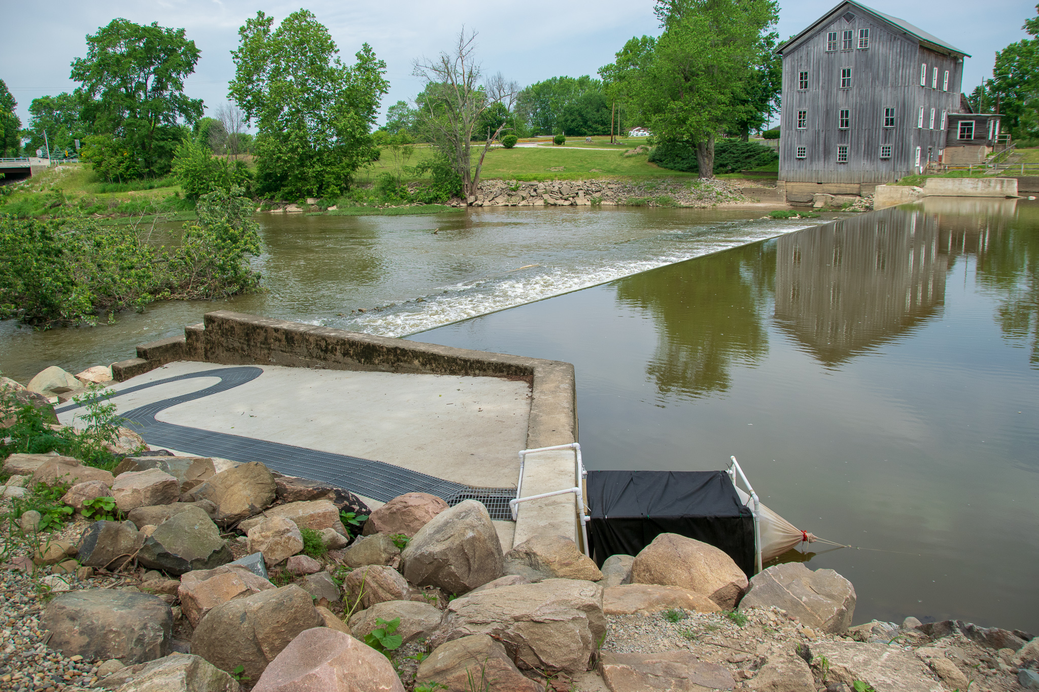What is a fish ladder and how is it helping a hoosier river indiana