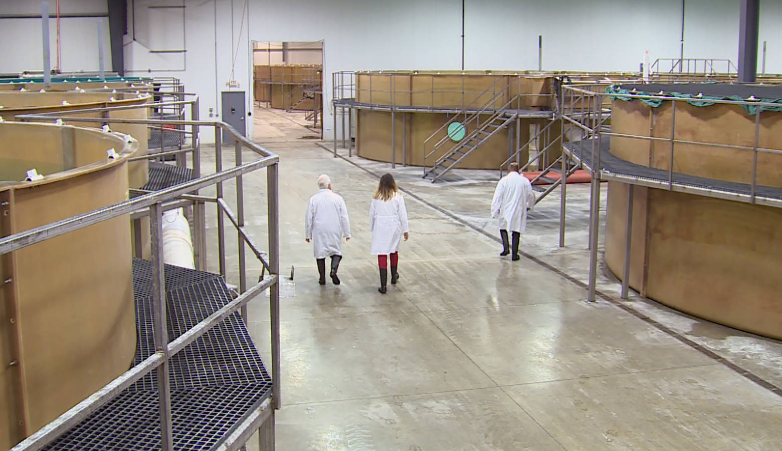 Aquabounty Technologies President & CEO Ronald Stotish, reporter Samantha Horton, and facility manager Pablo Bernal tour the building where the large 68,684 gallon tanks are housed. (Steve Burns/WTIU)