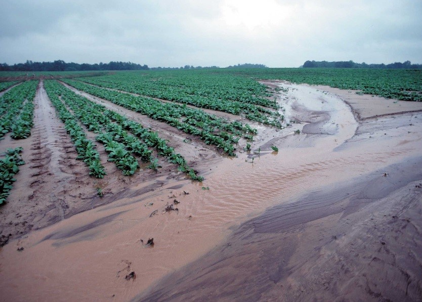 epa-encourages-market-based-approach-to-reduce-runoff-to-great-lakes