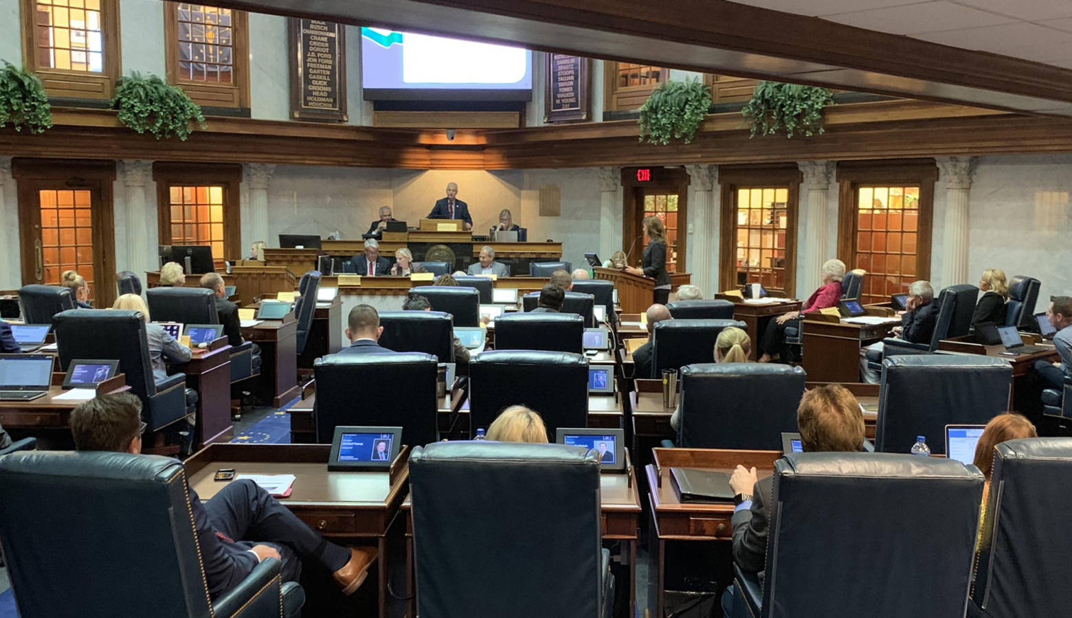 The Senate chambers were full for public health testimony. (Jill Sheridan/IPB News)