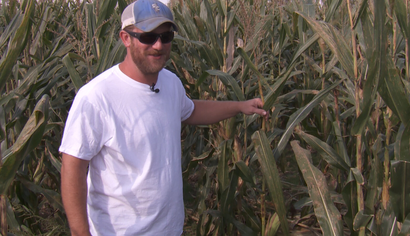 Every time farmer Justin Coleman goes to rent new ground, he has to make sure the landlord allows conservation practices that are important to him. If not, he walks away. (Rebecca Thiele/IPB News)