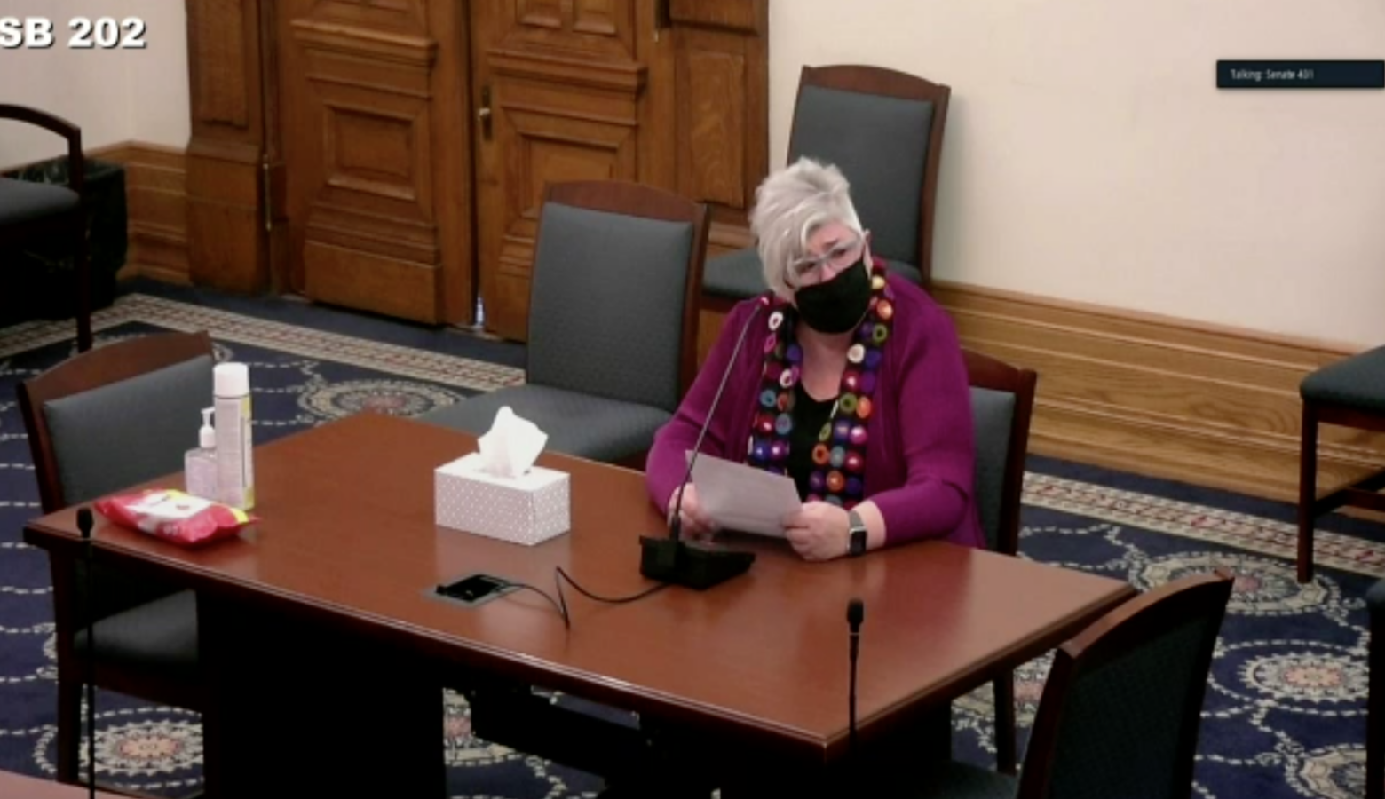 Bringhurst, Indiana resident Vickie Ayres advocates for the Essential Family Caregiver Program in a Senate committee. (Screenshot of iga.in.gov)