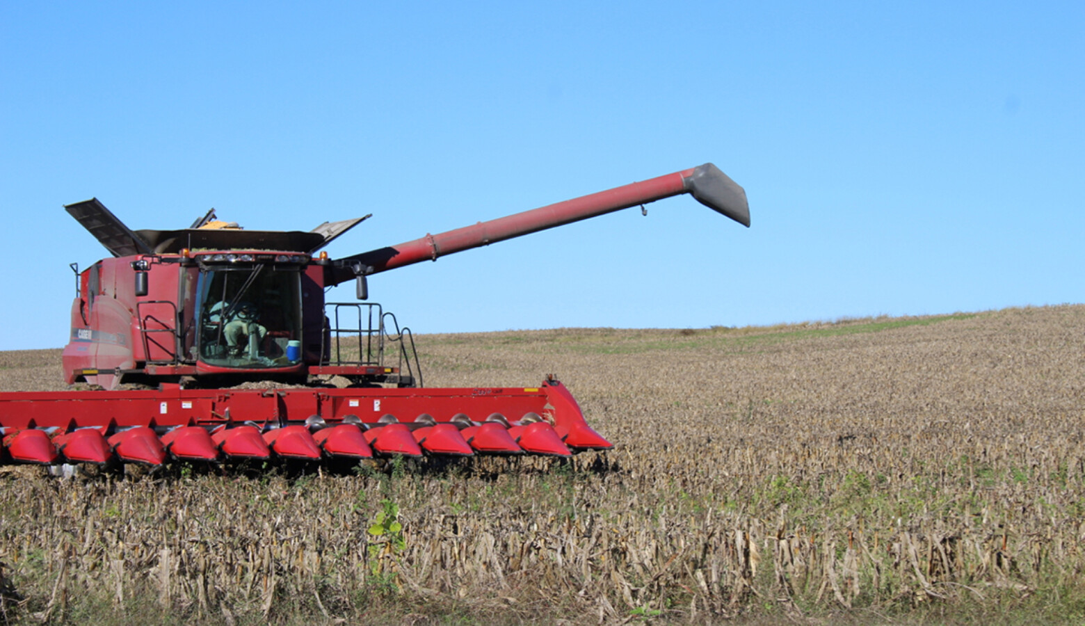 Indiana food producers may have lost more than an estimated $500 million during the pandemic. (FILE PHOTO: Annie Ropeik/IPB News)