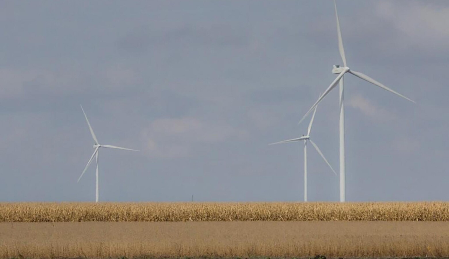 Indiana counties that want to develop new wind ordinances would have to either follow state guidelines or create renewable energy districts. (FILE PHOTO: Annie Ropeik/IPB News)