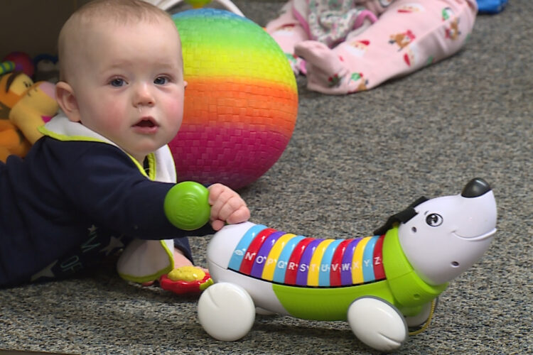 A baby sits on the floor and plays with a ball and stuffed dog on wheels.