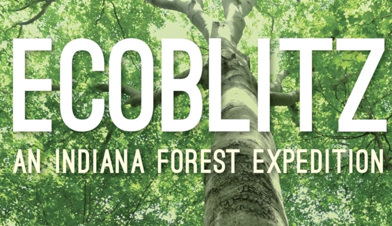 The front cover of the book features a tree from below and reads "EcoBlitz: An Indiana forest expedition."