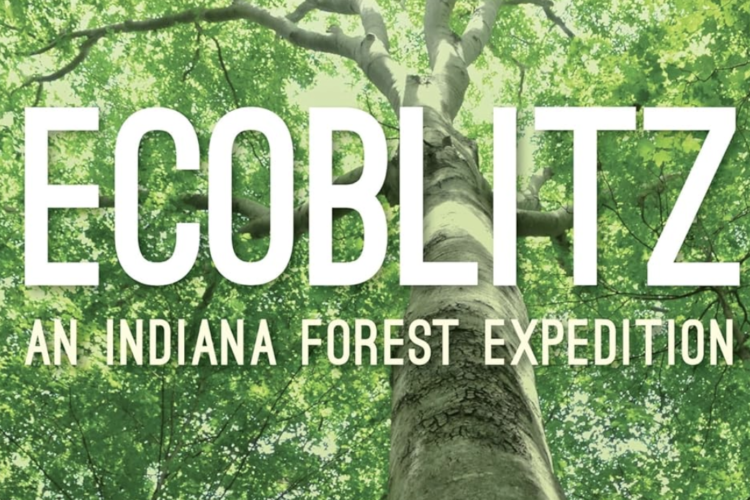 The front cover of the book features a tree from below and reads "EcoBlitz: An Indiana forest expedition."