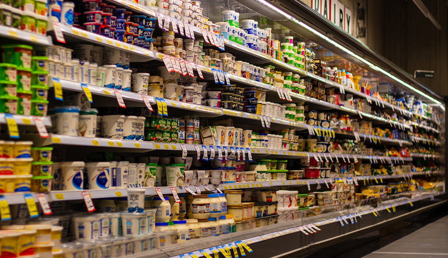 A grocery dairy aisle with no shoppers. Price tags decorate the shelves under fluorescent lights.