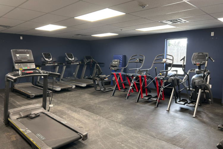 Treadmills, ellipticals and other workout machines sit in a room lined up next to each other.