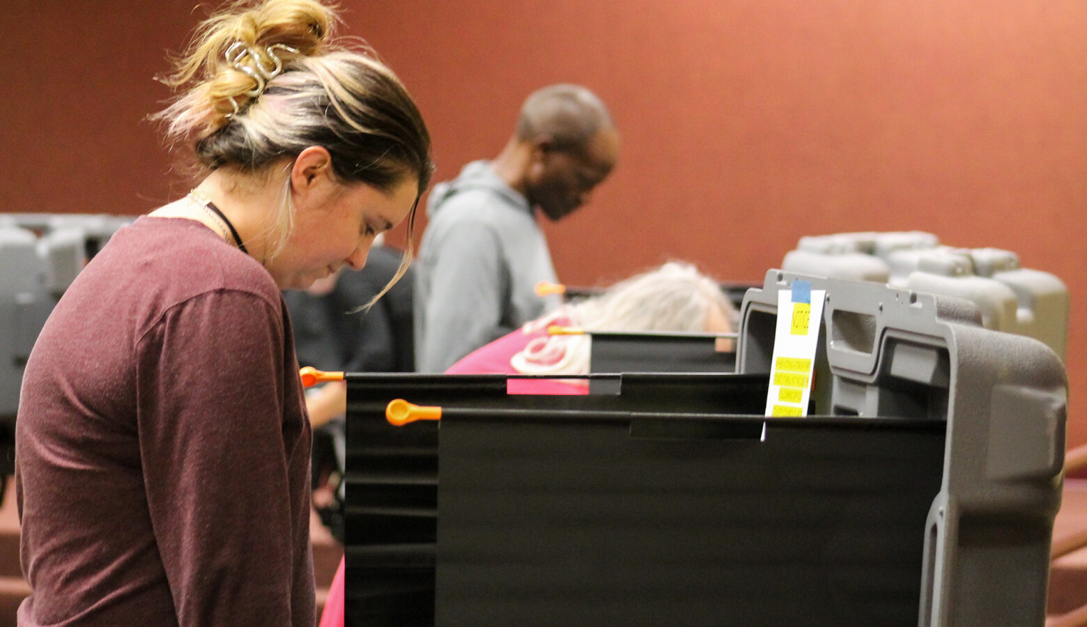 Voters stand at voting machines