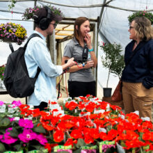 Three people stand inside a greenhouse. Two women are talking and smiling while a man holds a microphone. There are rows of bright flowers in front of them.