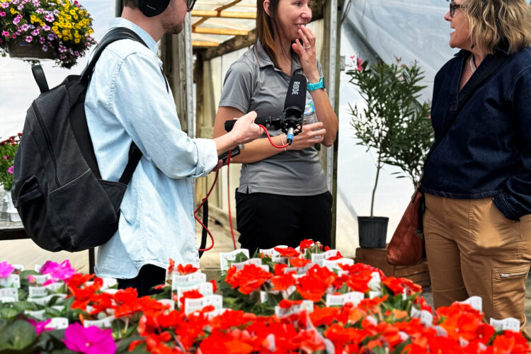 Three people stand inside a greenhouse. Two women are talking and smiling while a man holds a microphone. There are rows of bright flowers in front of them.