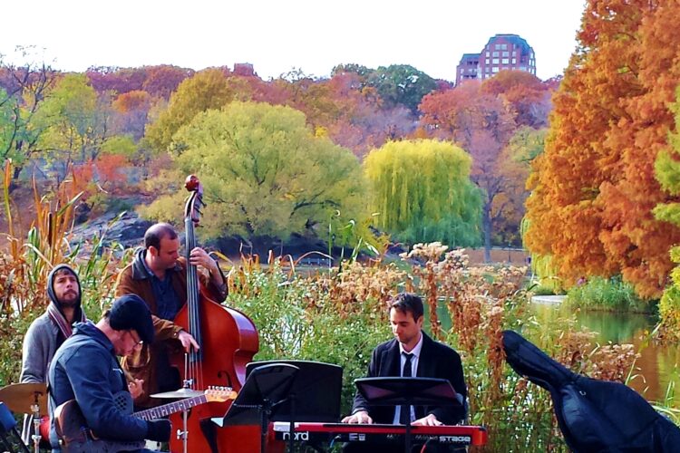 A jazz quartet playing in front of trees in autumn.