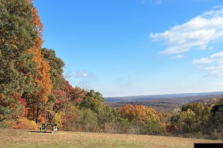 An overlook at the Brown County State Park. There are rolling hills with orange, yellow and red leaves on the trees. A picnic table is in the foreground.