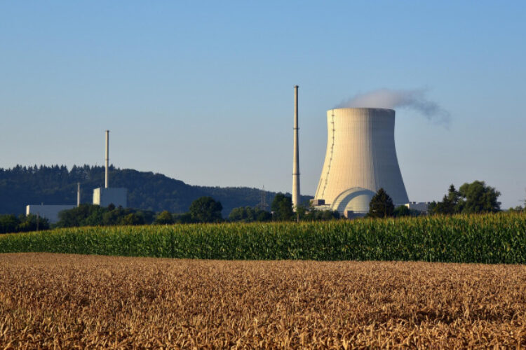 An exterior photo of a nuclear power plant cooling tower some distance away emitting steam. Corn fields are in the foreground with a tree line in the far background, all covered by a blue sky.