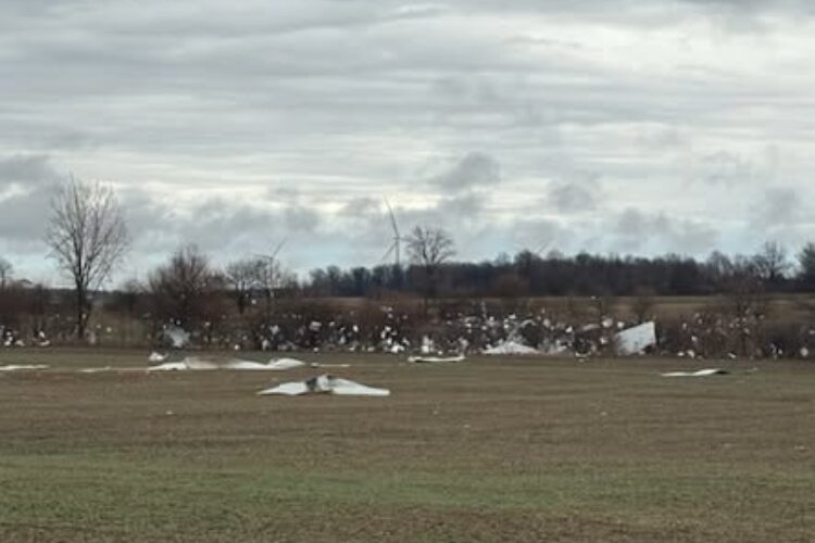 White pieces torn off a barn sit strewn in a brown field, under a sky gray with clouds.