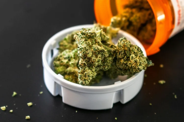 A closeup photo of an orange prescription bottle with a white lid off the bottle in the center of the frame holding bits of marijuana.