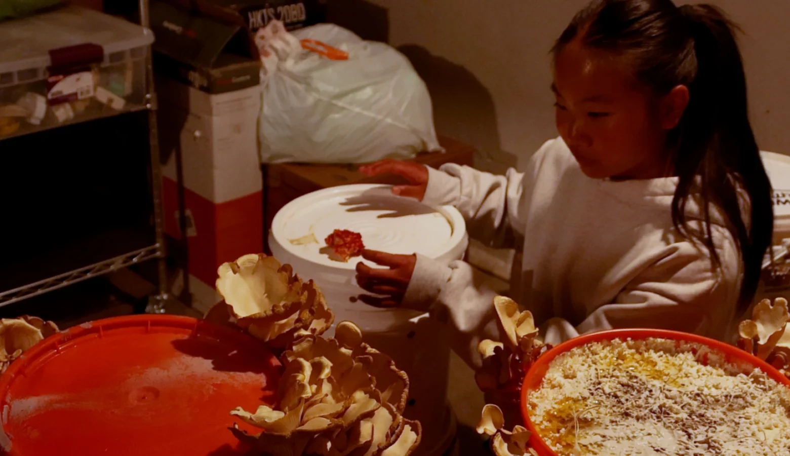 A young girl sits on the ground in a cluttered basement surrounded by buckets. Several of them have mushrooms growing off of them.