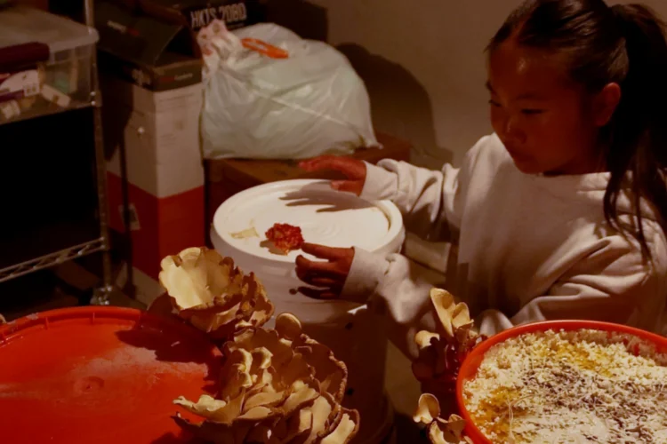 A young girl sits on the ground in a cluttered basement surrounded by buckets. Several of them have mushrooms growing off of them.