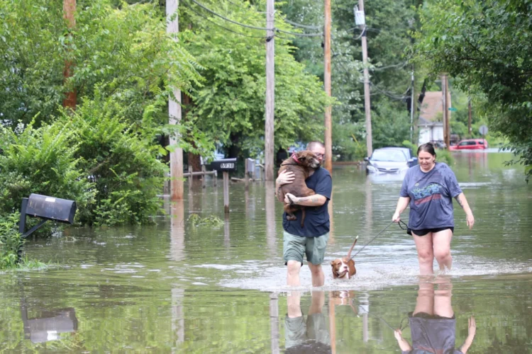 Two people and a dog walk through flood waters on a residential road in Broad Ripple, Indiana.