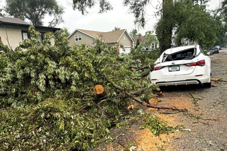 A white car with a caved in roof due to a falling tree sits on a street, surrounded by downed tree branches.
