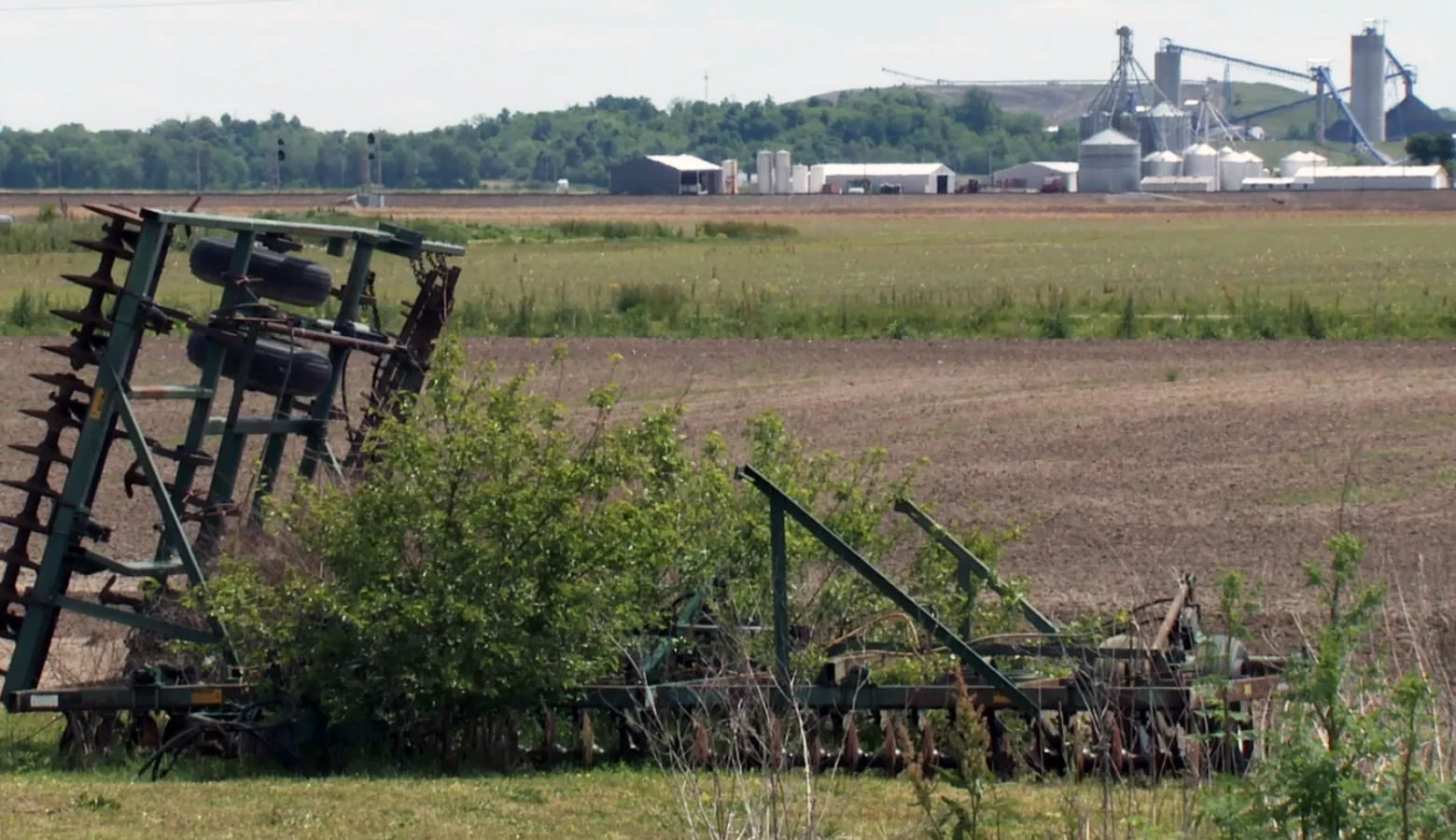 Our photo shows an abandoned disking unit with weeds growig through it beside a farm field. In the distant background is a large farm complex with multiple grain bins.