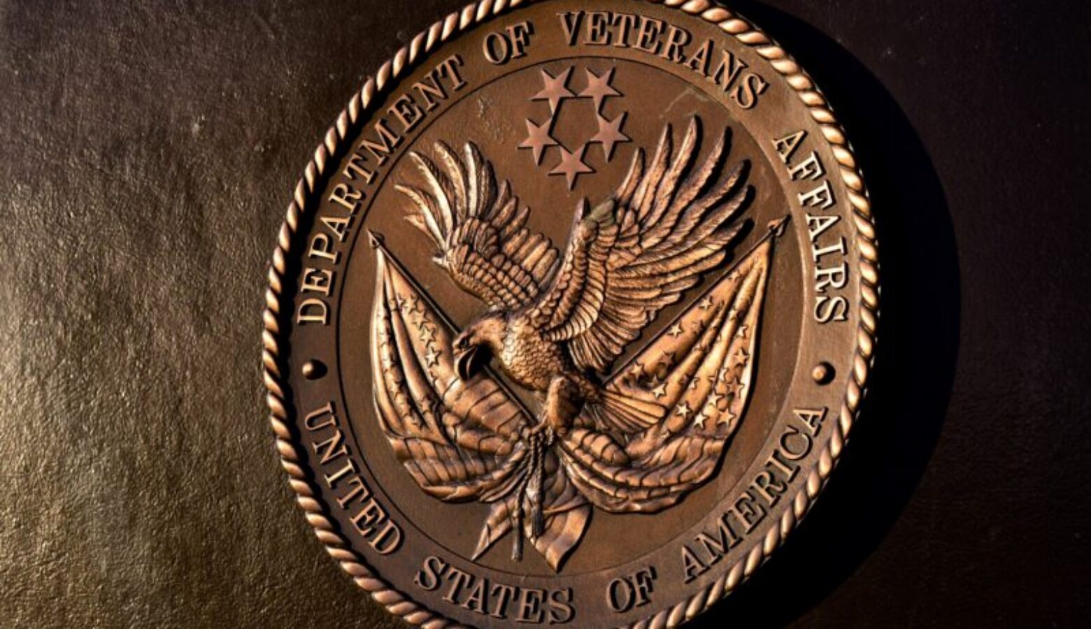 The logo of the Department of Veterans Affairs.